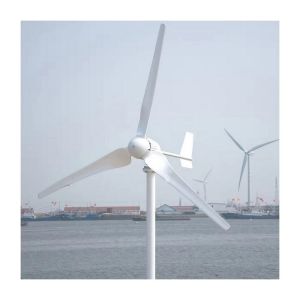 Wholesale Wind Power System Home Hybrid Wind Mill Power Generator System Directly Sale 3KW/5KW/10KW from china suppliers