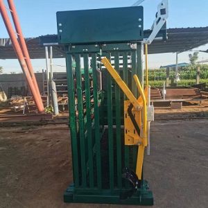 Powder Coated Heavy Duty Cattle Crush Rectangle With Weighing Versatile