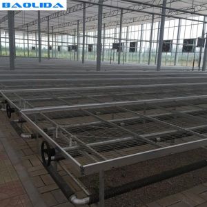 Movable Greenhouse Rolling Benches Breeding Nursery Seedling Size Customized