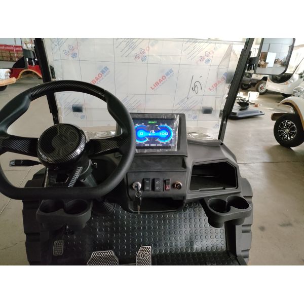 High Quality 6 Seater Golf Carts Electric Buggy Black Color Lithium Battery