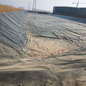 1-6m Width Impermeable Geomembrane for Industrial Design Style Fish Pond