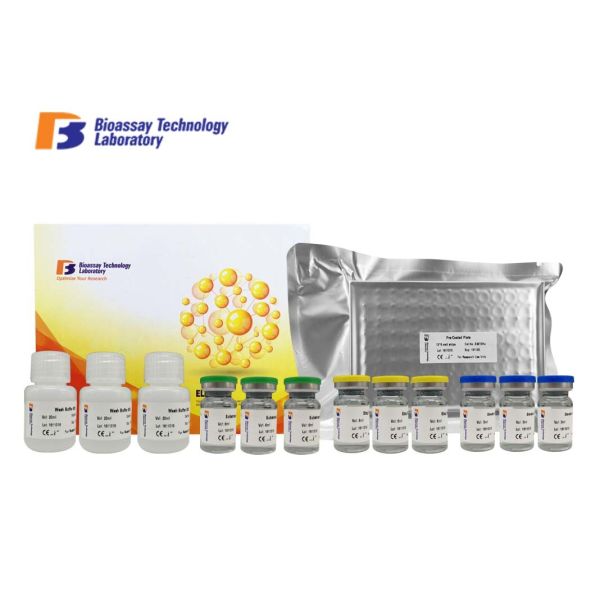 A1AGP Bovine Enzyme Linked Immunosorbent Assay Elisa Kit 96 Wells With High