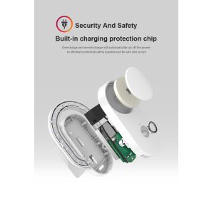 Anion purification night lamp