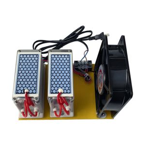 AC220 Ozone Generator 10g 15g Integrated Ozone Generator With Fan Machine