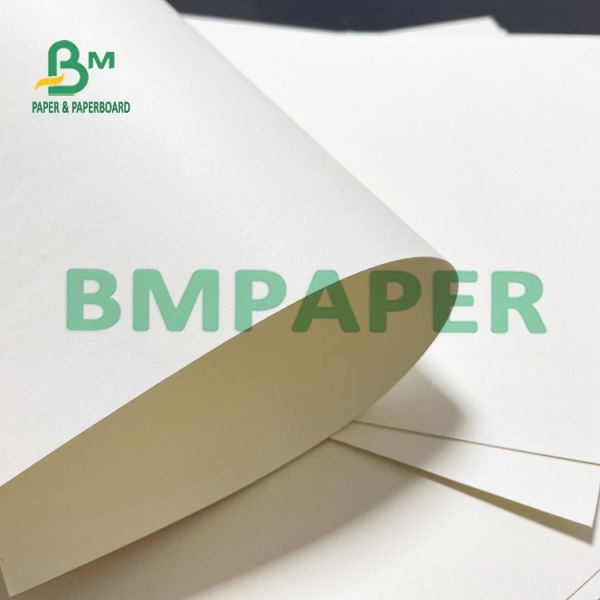 230g + 15g Single Side PE Coated Cup Paper With Virgin Wood Pulp 230g + 15g Single Side PE Coated Cup Paper With Virgin Wood Pulp Material