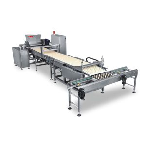 ISO9000 Reciprocating Head Depositor Cookie Manufacturing Machines