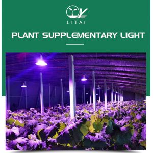 LED Plant Growth Lamp Full Spectrum High Power Complement Lamp
