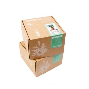 Custom Printed Paper Corrugated Cardboard Grown Live Plant Shipping Box For