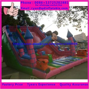 Good quality commercial inflatable vagina slide , giant inflatable slide for