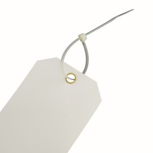 Colorful Plastic Safety Tag With Custom Design For Various Applications