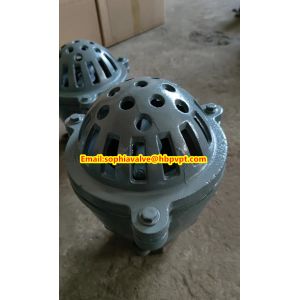 Wholesale EPDM resilient seal cast iron PN10 foot valve from china suppliers