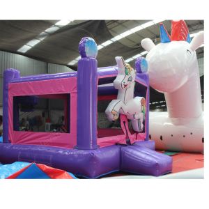 5 to 7 Years Old Get This Customized Size Inflatable Air Bouncer Mini Bounce