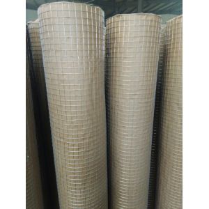 1/2 " Hot Dip Galvanized Welded Wire Mesh Rolls With 0.8 mm Wire For USA market