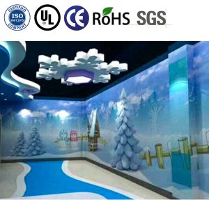 High Capacity Indoor Playground with 3D Installation Supervision and Large Frame