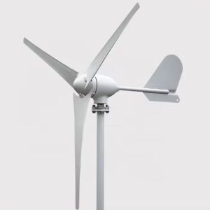 Wind Power System Home Hybrid Wind Mill Power Generator System Directly Sale 3KW
