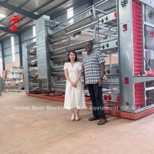 Automated Poultry Layer Cage With Feeder And Adjustable Nipple Drinker System