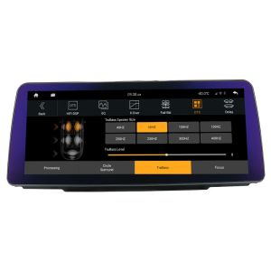 8GB BMW Android Radio Car Audio System BMW 3 Series EVO Mirror Link 2018-2019