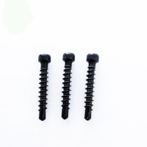 China Cheese Fillister Head Stainless Steel 410 Decking Screws T15 Drive Tek Point Black Dacromet on sale