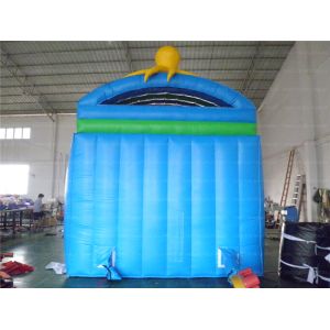 The Inflatable Octopus Slide (CYSL-01)