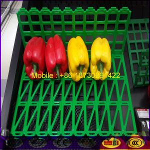 Large Stock of China Store Fruit Stall Shelf Fence with Good Price