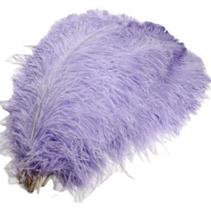 Wholesale Various Color Millinery Feather Ostrich Plume Feathers 50-55cm For Hat Decoration from china suppliers