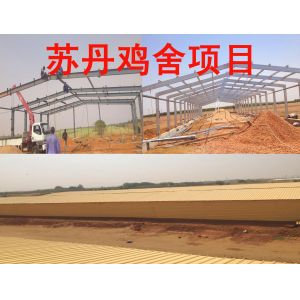 Automatic Steel Structure Peb Customized Poultry Chicken Farming Shed