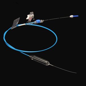 Guidedwire Use Dilation Balloon Catheter With Elastic Soft Tip Design
