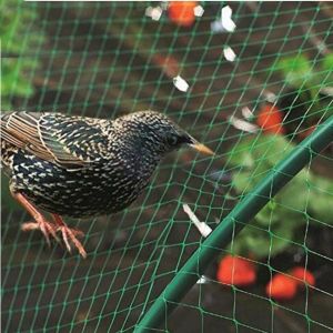 Invisible Anti bird net Garden Vineyard bird netting Plant Protection Plastic