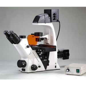 High Point Inverted Biological Microscope Inverted Fluorescence Microscope