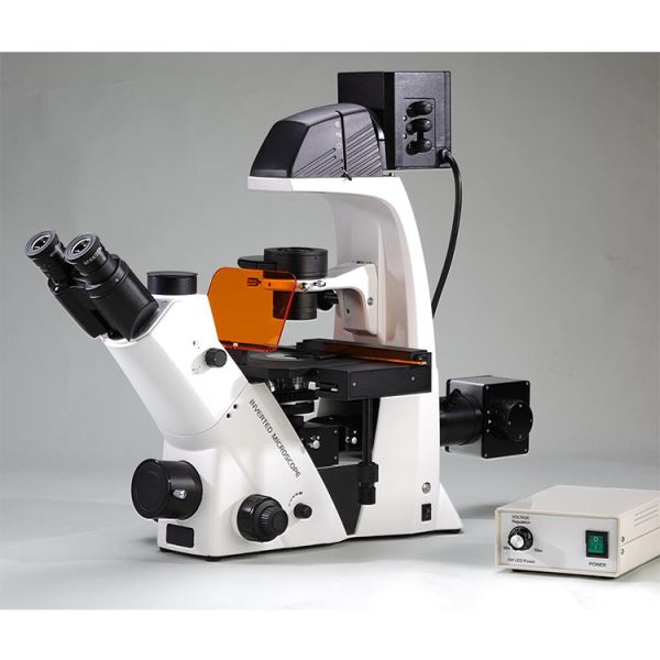 High Point Inverted Biological Microscope Inverted Fluorescence Microscope