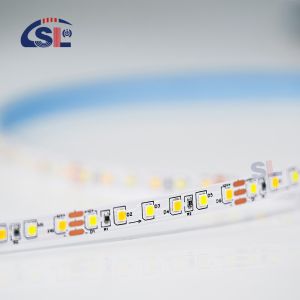 CCT 12V24V 8mm 120leds 3000K-6500K Flexible Dual Color Electroplate SMD2835 LED