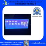 STN FSTN 24064 Dots Matrix 12 O'Clock COB LCD Display Module