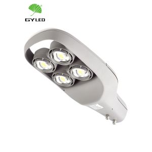 100W 150W Waterproof Roadway LED Lighting COB Street Light IP66