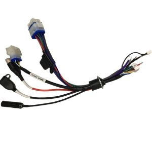 Remote Control Auto Stereo Wiring Harness Plug Customize Marine Boat