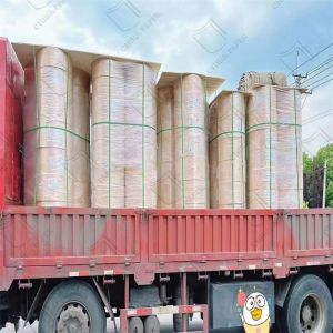 Professional-Grade Thermal Paper Rolls 48g For High-Traffic POS Systems