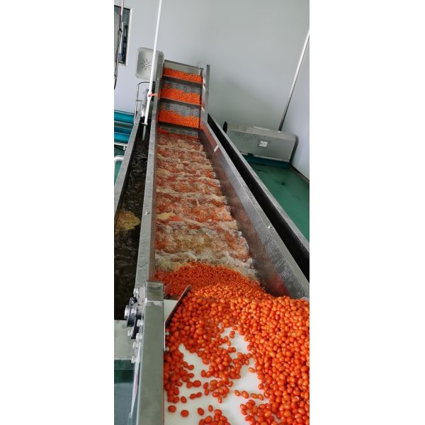 Automatic Drying Fruit Vegetable Processing Line 220V / 380V / Customized