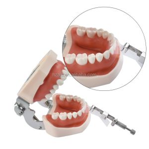 100Pcs/box Dental Filling Tools MICRODONT Interdental Spacer Polyester Matrix