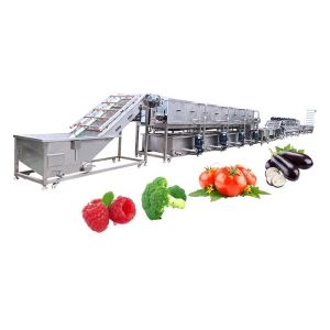 Multifunction Mesh Belt Conveying Fruits Mushroom Vegetable Processing Line