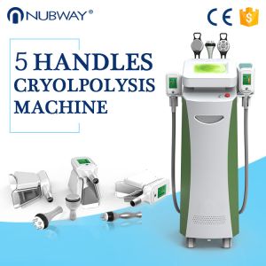 China Body Slimming Shaping Cryolipolysis Body Slimming Machine Beautician Use on sale