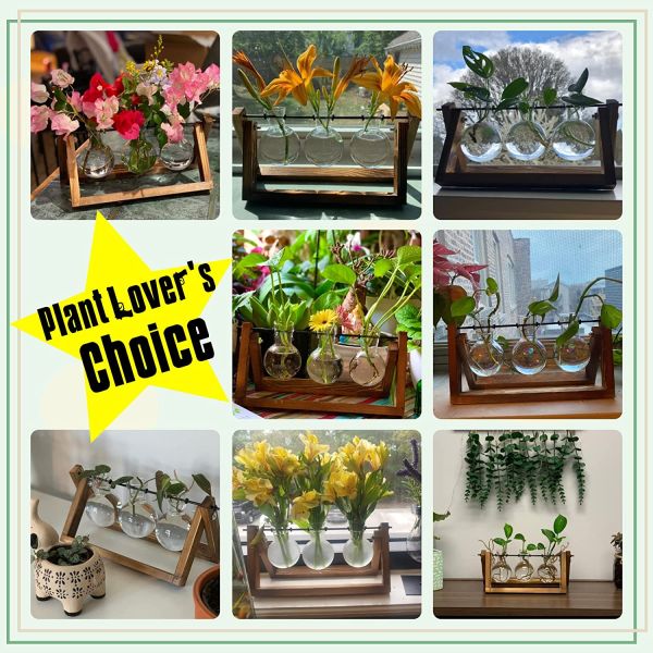 Desktop Glass Planter Plant Terrarium with Retro Solid Wooden Stand and Metal Swivel Holder for Home Office Decorations