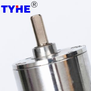 Custom Micro Dia 37mm 12v 24v High Torque 3nm 2nm 1nm Load Torque 5rpm 25 Rpm