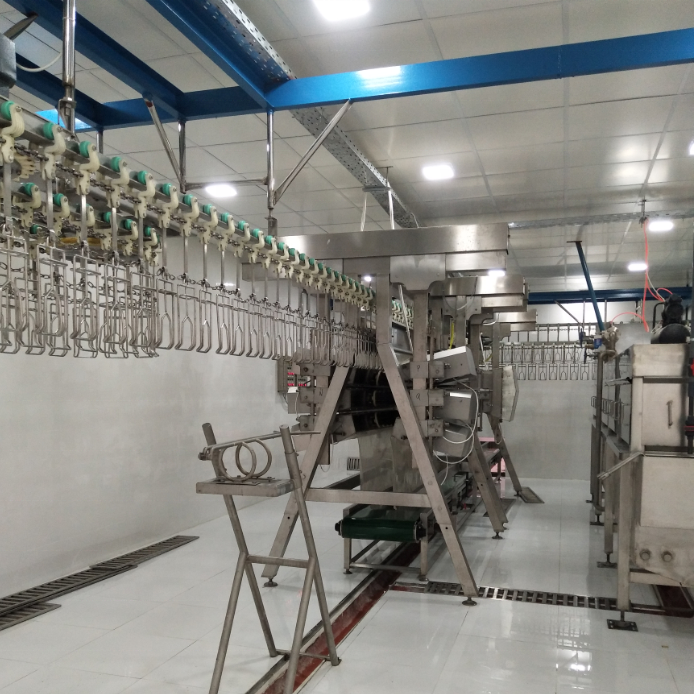 1000BPH Semi Automatic complete chicken quail goose duck Poultry Processing line Equipment for sale