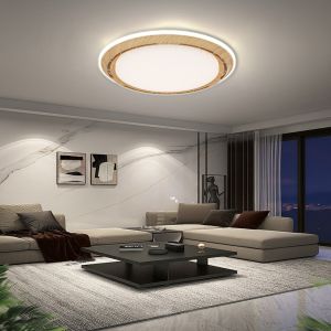 Wholesale Factory 20 Inch LED Bedroom Ceiling Fan Remote Control Flush Mount
