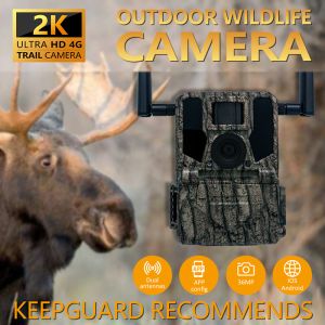 High-End GMS for 4G Hunting camera KW897 with dual antennas 100ft night range night vision 36MP 2K video for wildlife research