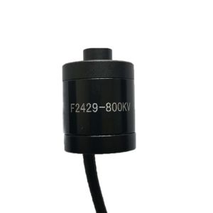 China Faradyi Customized waterproof 12V Electric Brushed Dc Motor 5Nm 48V Bldc Motor Waterproof Underwater With Propeller on sale