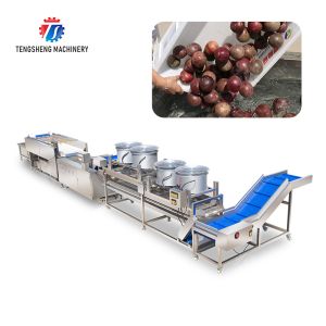 Revolutionize Your Production Process with Our Fruit And Vegetable Processing