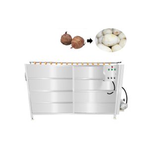 Brush Type Washer 2000kg/h Veg Peeling Machine For Carrots