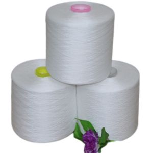 Raw White 20/2, 30/2, 40/2, 50/2, 60/2 100% Polyester Ring Spun Yarn Factory in