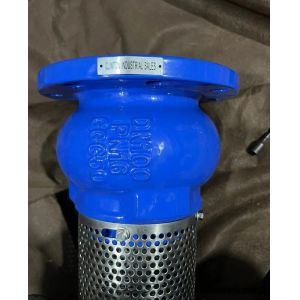 EPDM seal ductile iron flanged foot valve made in China