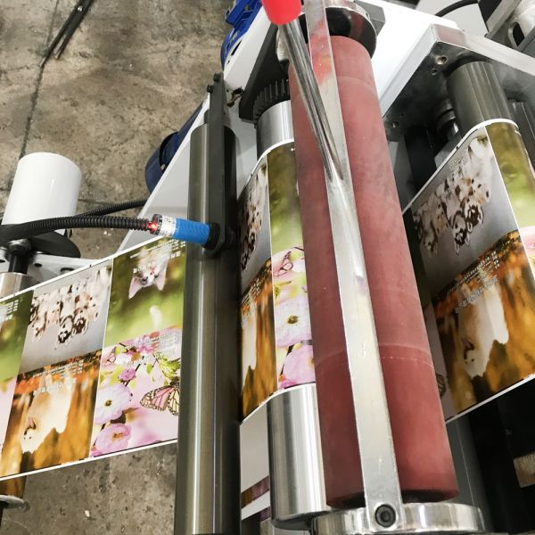 Hot Stamp Flatbed Die Cutting Machines For Self Adhesive Labels